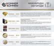 Акумуляторна бензопила KS CS20V-12 thumbnail